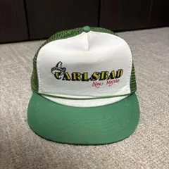 Item thumbnail for item 44dbd16e-e404-4f74-9baa-63ea9f6446e2