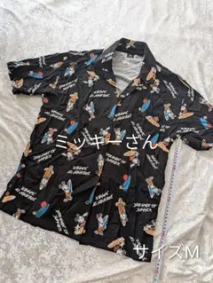 Item thumbnail for item 2e8068ab-db5b-4653-be49-2df4f6aba0e5