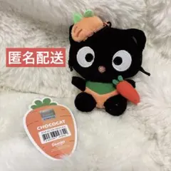 チョコキャット 韓国限定 マスコット にんじん ぬいぐるみ