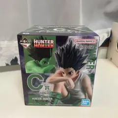 HUNTER x HUNTER MASTERLISE C賞 ゴン　キメラアント編