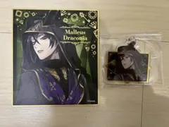 ツイステ ディアソムニア寮 マレウス・ドラコニア 色紙 アクリルキーホルダー