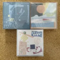 SEVENTEEN セブチ spill the feels