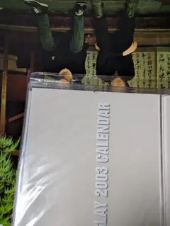 Item thumbnail for item be7d1acd-59bd-4deb-9ffd-67bf236f0a87