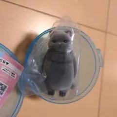 虚無　猫　纏　黒猫