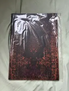 DIR EN GREY ツアーパンフレット