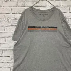 ハーレーダビットソンユーロ古着ヴィンテージTシャツ！グレー半袖2XL0507のサムネイル