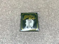 ジャンプショップ ジョジョの奇妙な冒険 3部 ピンズ ピンバッジ DIO ディオ