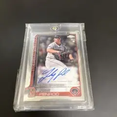 Item thumbnail for item f6862ce0-e904-43f9-9688-3508b4023bde