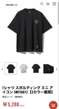 SPALDING Tシャツ ミニアイコン SMT26012 ブラック XLのサムネイル