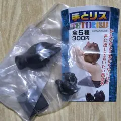 【新品内袋未開封】手とリス　TETORISU　ブラック