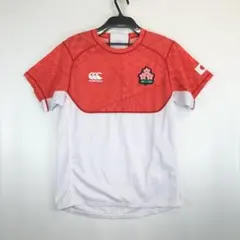 美品　レア　Canterbury ラグビー イングランド代表 ジャージ　O2 イングランド代表 ラグビーウェア O2 - メルカリ