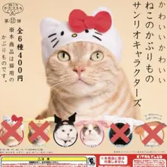 かわいいかわいいねこのかぶりもの　サンリオ　メロクロセット
