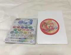 ダッフィー＆フレンズ　20周年 ワッペン カラフルハピネス リーナベル