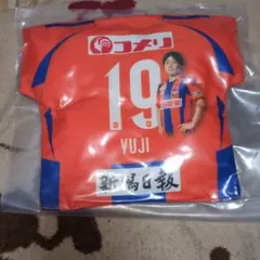 アルビレックス新潟 舩木翔 マッチデークッション - メルカリ