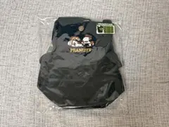 【完売品】スヌーピー　郵便局　ショルダーポシェット
