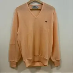 Arnold Palmer Vネック ニット 長袖 Lサイズ　シースルー　美品のサムネイル