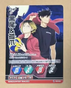 ハイキュー バボカ 音駒 黒尾鉄朗 孤爪研磨