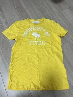 Abercrombie & Fitch Tシャツ