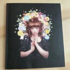 椎名林檎 勝訴ストリップ CD - メルカリ