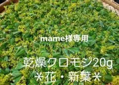【mame様専用】乾燥クロモジ50g＊おもてなし用☆花・新葉