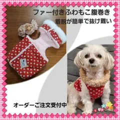 Item thumbnail for item 665c6357-7e42-42a2-a9d9-26f5a4ef553b