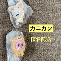 つまんでつなげてますこっと ジニレット トゥエッキ スキズ ガチャ