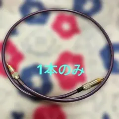 WIREWORLD RCAケーブル 1本のみ 75cmのサムネイル