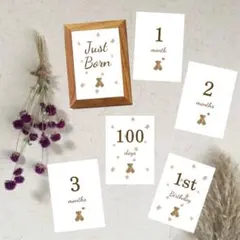 Item thumbnail for item 57a69ea5-efa0-41ea-8e19-b6dc1239b054