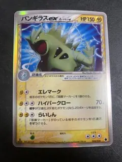 2026年最新】バンギラス 1edの人気アイテム - メルカリ