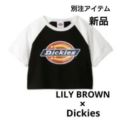 Item thumbnail for item e811e23d-2b75-4314-8432-4eaffc3f5a60