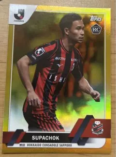 Item thumbnail for item 44e9ab4e-3bd7-4a1f-9656-1f51f72111fe