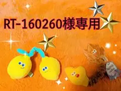 【RT-160260様専用】