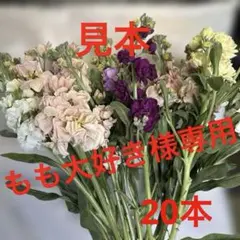 もも大好き様 専用