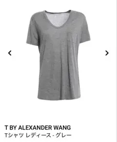T BY ALEXANDER WANG Vネック ポケットTシャツ グレーのサムネイル