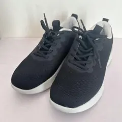 Item thumbnail for item 6caf3a9c-faed-4d29-a625-49860390ece0