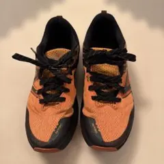 Item thumbnail for item 80fe0bd7-290a-42c2-b250-ee21123c767d