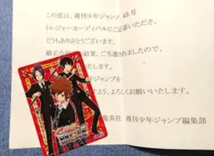 【懸賞当選品】家庭教師ヒットマンREBORN　サザンクロスバトル