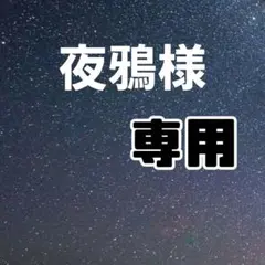 夜鴉様専用