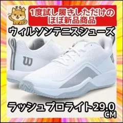 Item thumbnail for item 19c16cf8-e69d-4d19-9dbd-3a9c827fcd23