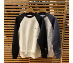 Item thumbnail for item 550704f3-b99a-4ec8-a13c-7cc1d8587e0e