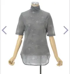 Starry Jersey Short Sleeve Sheer Topのサムネイル