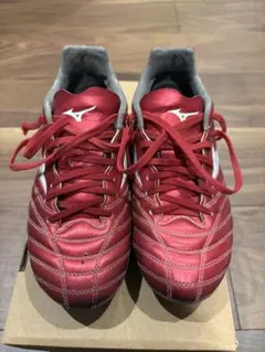 モナルシーダネオ3プロ　22cm ミズノ　スパイク