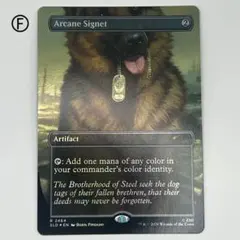 MTG 秘儀の印鑑/Arcane Signet ボーダーレス 英語1枚 SLD - メルカリ