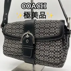 極美品❣️COACH コーチ ソーホー ミニシグネチャー ワンショルダーバッグ