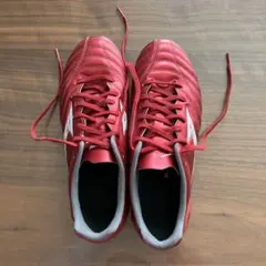 Item thumbnail for item 77404bbc-7ff0-4fda-8f33-5cf7886beaa6