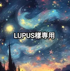 LUPUS樣専用ページ【取り置き中 日迄】