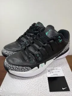 2026年最新】nike zoom vapor rfの人気アイテム - メルカリ