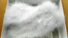 成人式ショール　羽毛