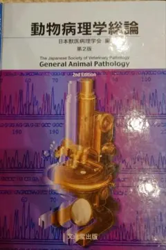 Item thumbnail for item 336bcffe-b492-4567-88bf-c207fea53185