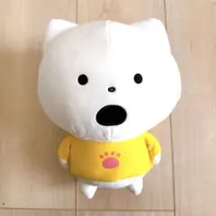 さえないこねこ ぬいぐるみ